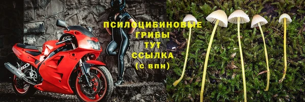 соль ск Верея