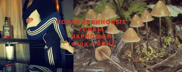 крисы Бугульма