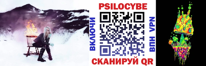 где можно купить   Архангельск  сайты даркнета Telegram  Псилоцибиновые грибы Psilocybine cubensis 